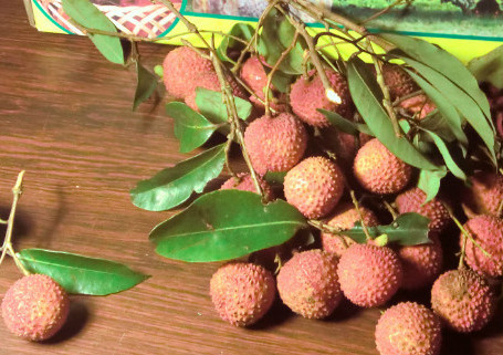 增城荔枝什么時候成熟？增城的荔枝品種有哪些？