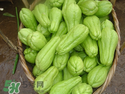 佛手瓜是涼性還是熱性？佛手瓜是什么樣子？