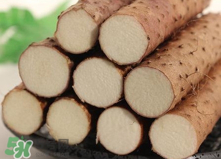 淮山藥是鐵棍山藥嗎？淮山藥和鐵棍山藥的區(qū)別