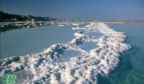 geomar磨砂膏哪款好用？geomar吉爾瑪磨砂膏怎么買(mǎi)