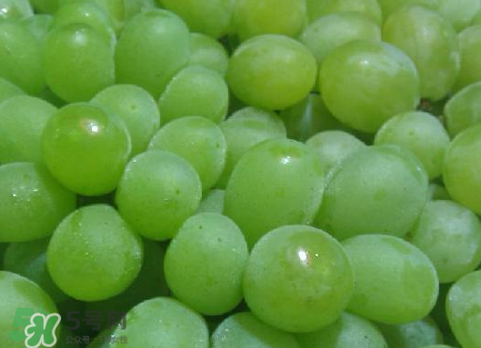 ?青提和葡萄有什么區(qū)別？?青提是葡萄嗎？