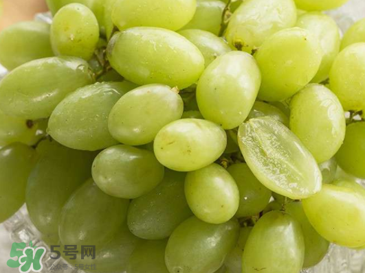 ?青提和葡萄有什么區(qū)別？?青提是葡萄嗎？