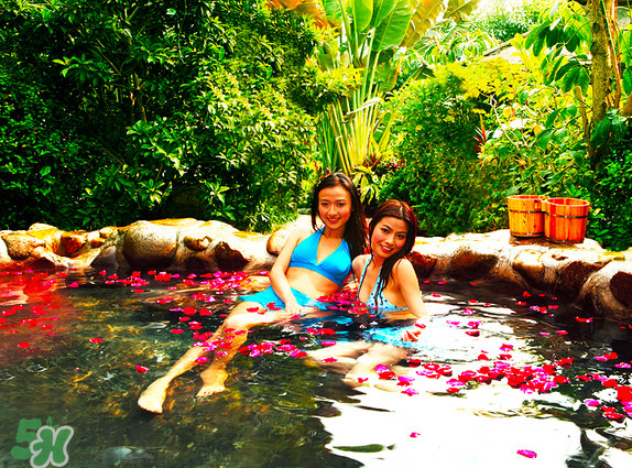 夏天可以泡溫泉嗎？冬天泡溫泉好還是夏天泡溫泉好？