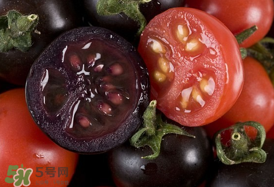 藍(lán)莓和番茄能一起吃嗎？藍(lán)莓和西紅柿能一起吃嗎？