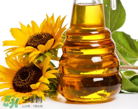 食用油種類有哪些？食用油哪個牌子好