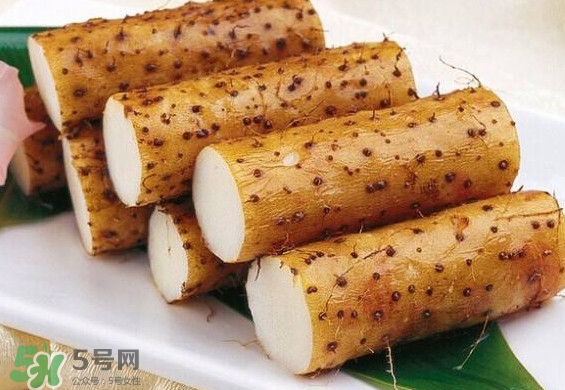 懷山藥是生山藥嗎？懷山藥是鐵棍山藥嗎