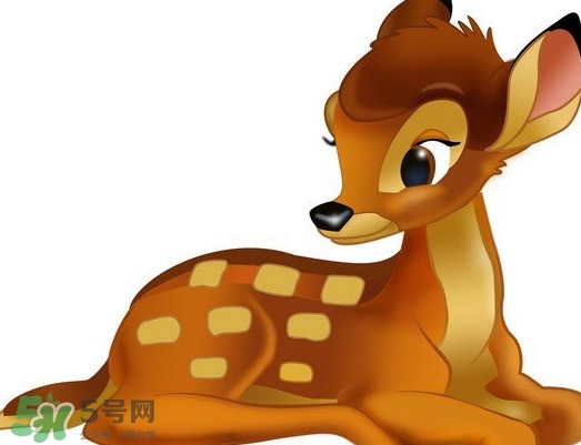 斑比跪是什么意思？斑比跪是什么坐勢