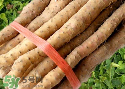 懷山藥可以生吃嗎？懷山藥怎么吃最好