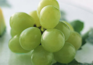 青提是轉(zhuǎn)基因嗎？青提怎么挑？