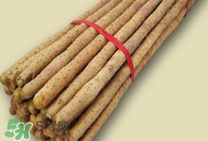 懷山藥是生山藥嗎？懷山藥是鐵棍山藥嗎