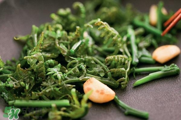 龍須菜怎么清洗？龍須菜怎么處理？