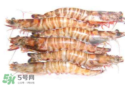 九節(jié)蝦是海蝦嗎？九節(jié)蝦是海蝦還是河蝦