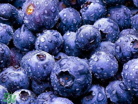 藍(lán)莓和橙子能一起吃嗎？藍(lán)莓和橙子一起吃好嗎？