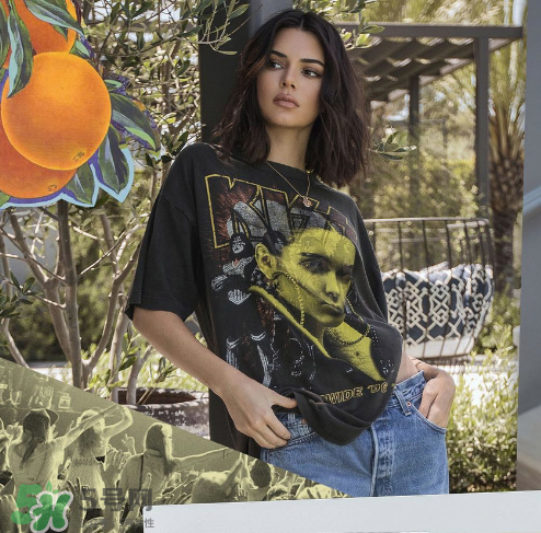 kendall kylie2017復(fù)古系列短袖t恤怎么樣_好看嗎_款式有哪些？