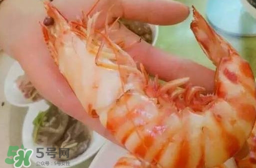 九節(jié)蝦是海蝦嗎？九節(jié)蝦是海蝦還是河蝦