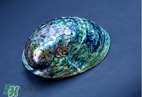 nike foamposite one abalone鮑魚噴什么時(shí)候發(fā)售？