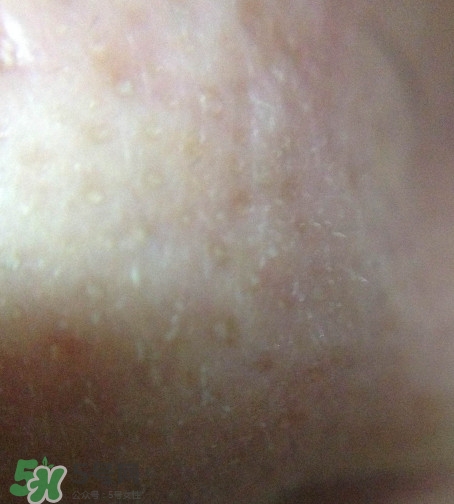 dmc欣蘭凍膜怎么樣?dmc欣蘭凍膜好用嗎? dmc欣蘭凍膜怎么樣?dmc欣蘭凍膜好用嗎?