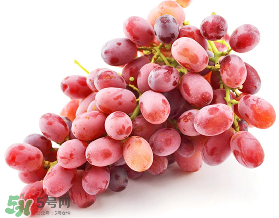 無(wú)籽紅提有涂避孕藥嗎？無(wú)籽紅提是轉(zhuǎn)基因嗎？