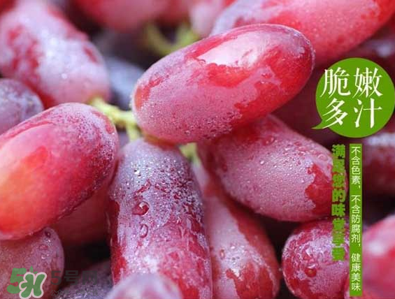 無(wú)籽紅提有涂避孕藥嗎？無(wú)籽紅提是轉(zhuǎn)基因嗎？