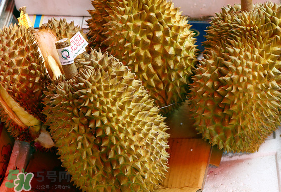 托曼尼榴蓮怎么才是熟？托曼尼榴蓮怎么看生熟？