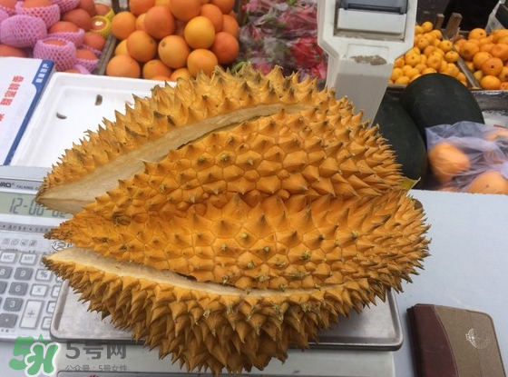 托曼尼榴蓮怎么才是熟？托曼尼榴蓮怎么看生熟？