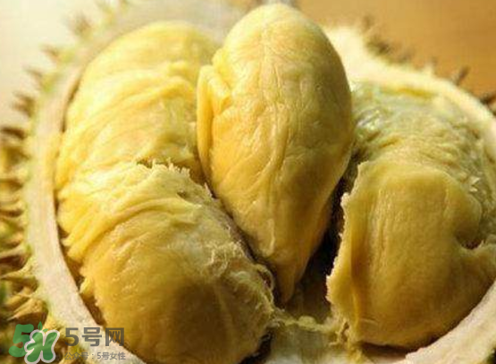 托曼尼榴蓮多少錢？托曼尼榴蓮是哪里的？