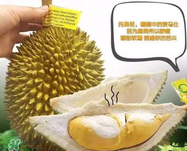 托曼尼榴蓮又叫什么？托曼尼榴蓮簡介