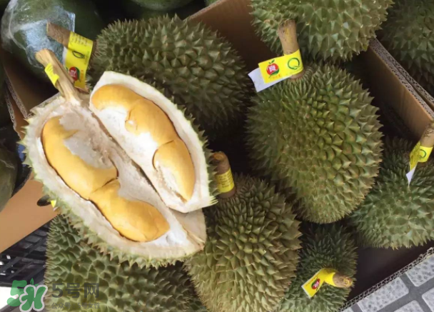 托曼尼榴蓮又叫什么？托曼尼榴蓮簡介