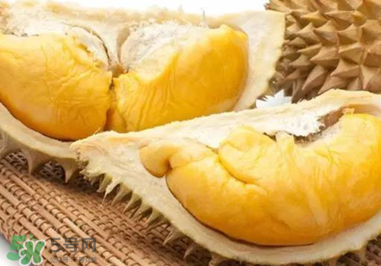 托曼尼榴蓮多大？托曼尼榴蓮好吃嗎？