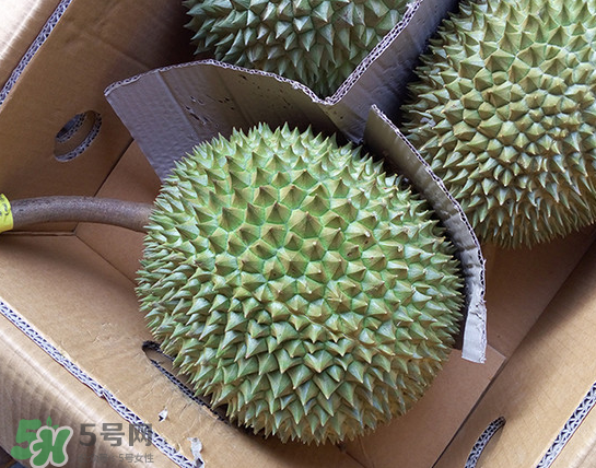 干堯榴蓮怎么樣算熟了？干堯榴蓮怎么挑選？