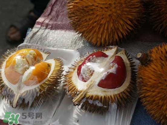 榴蓮核可以煲湯嗎？榴蓮核可以煲雞湯嗎？