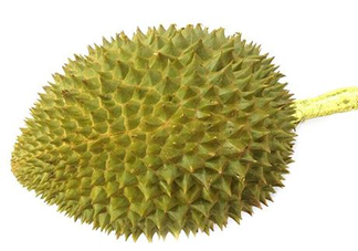 托曼尼榴蓮多少錢？托曼尼榴蓮是哪里的？