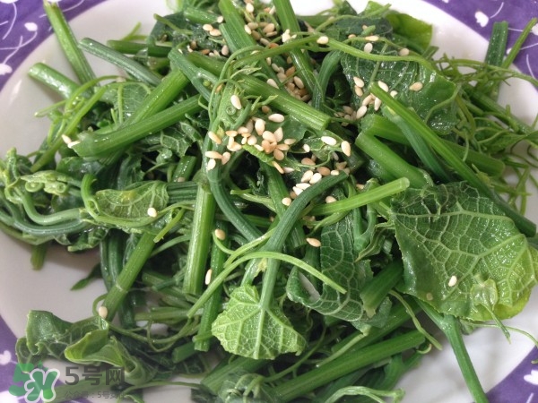 龍須菜怎么清洗？龍須菜怎么處理？