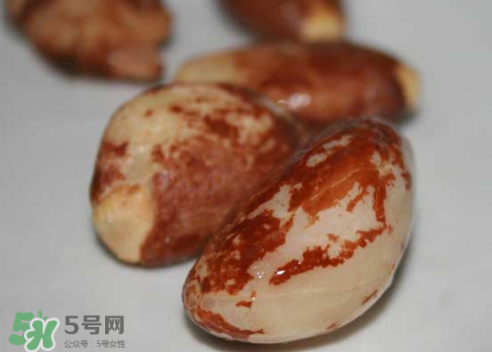 榴蓮核可以煲湯嗎？榴蓮核可以煲雞湯嗎？