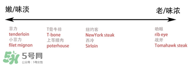 牛排是牛的哪個部位？牛排是牛身上哪塊肉？