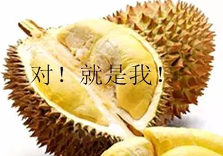 多大的小孩可以開始吃榴蓮？寶寶多大可以吃榴蓮？