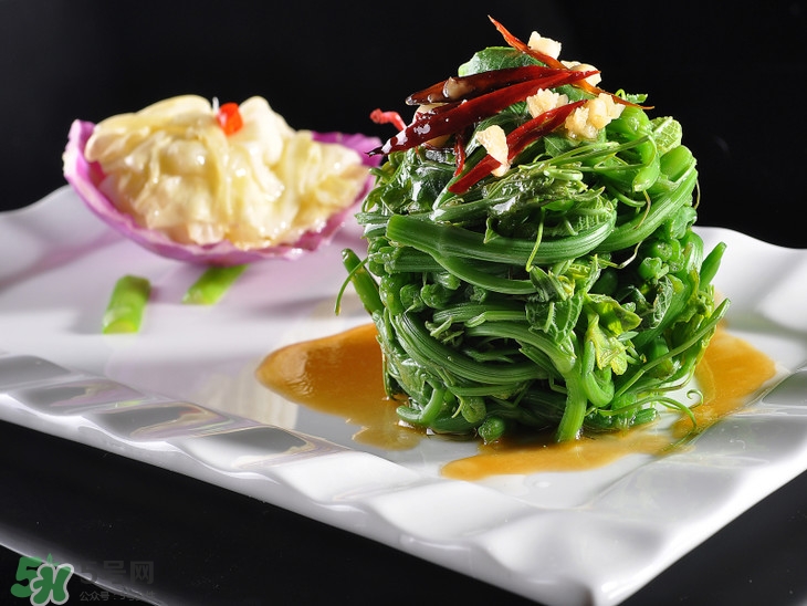 龍須菜有幾種？龍須菜多少錢一斤？