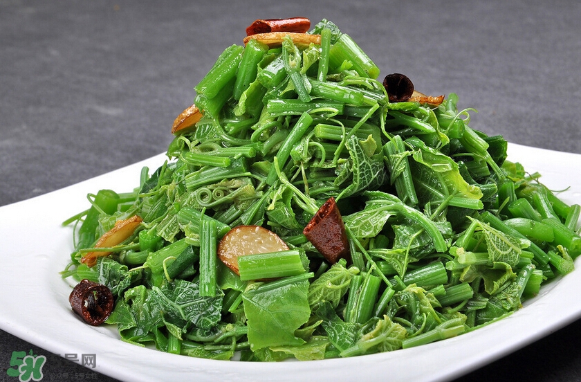 龍須菜是什么菜？龍須菜怎么吃？