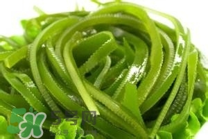 鮮海帶怎么做好吃？鮮海帶怎么保存？