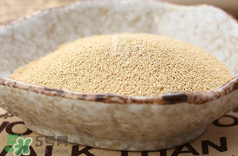  安琪酵母對人體有害嗎？安琪酵母有副作用嗎