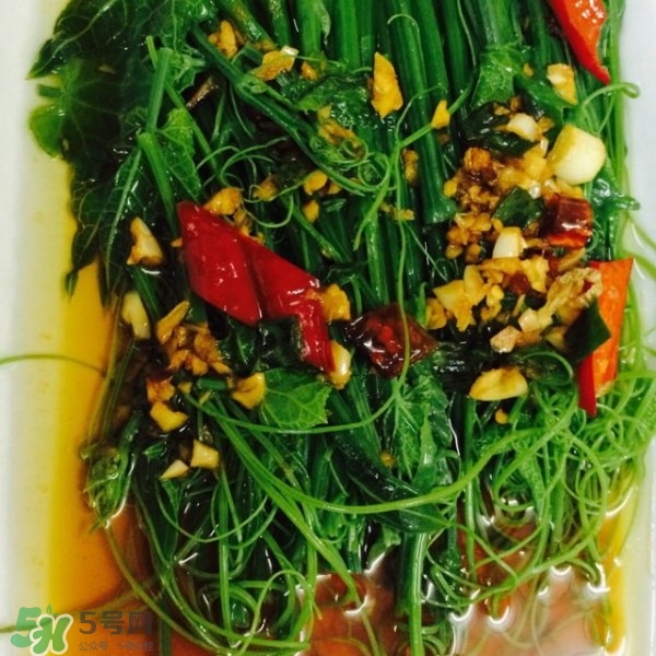 龍須菜怎么清洗？龍須菜怎么處理？