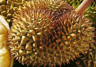 甲侖榴蓮和金枕哪個(gè)貴？甲侖榴蓮和金枕的區(qū)別