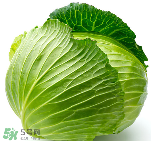 8月份吃什么蔬菜？八月份適合吃什么蔬菜？