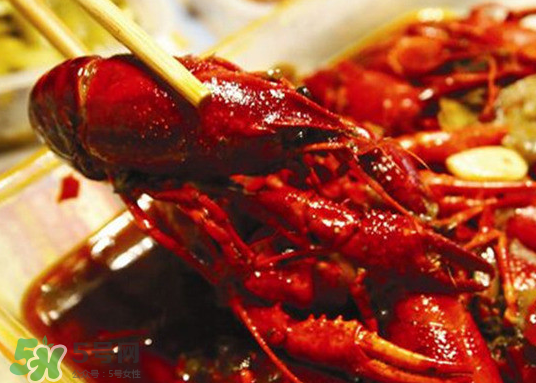 八月份還要小龍蝦？小龍蝦幾月份結(jié)束？