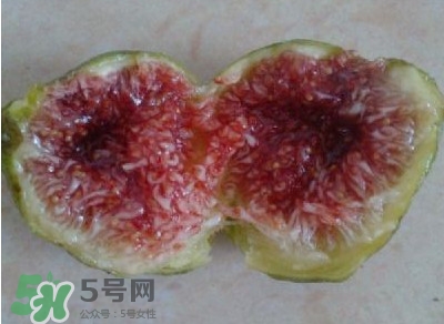 無(wú)花果是水果嗎？無(wú)花果是什么季節(jié)的水果