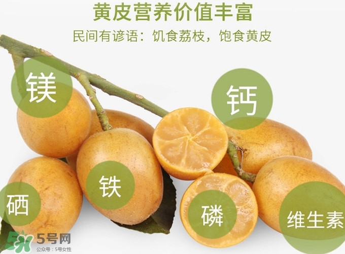 黃皮果是小金橘嗎？黃皮果和小金橘的區(qū)別