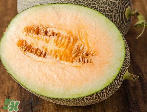 西州蜜瓜多少錢一斤？西州蜜瓜怎么挑選？