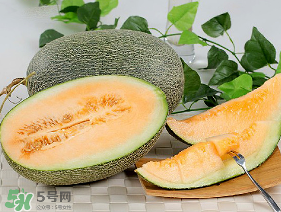 西州蜜瓜什么季節(jié)熟？西州蜜瓜幾月份成熟？