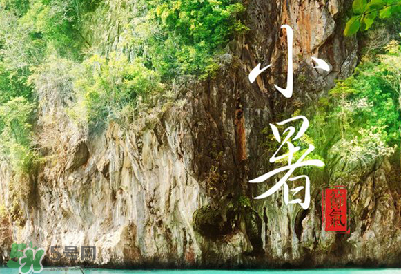 小暑是入伏嗎？小暑是不是入伏？