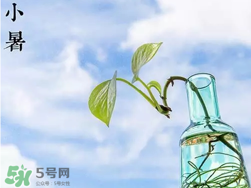 小暑是頭伏嗎？小暑是初伏嗎？